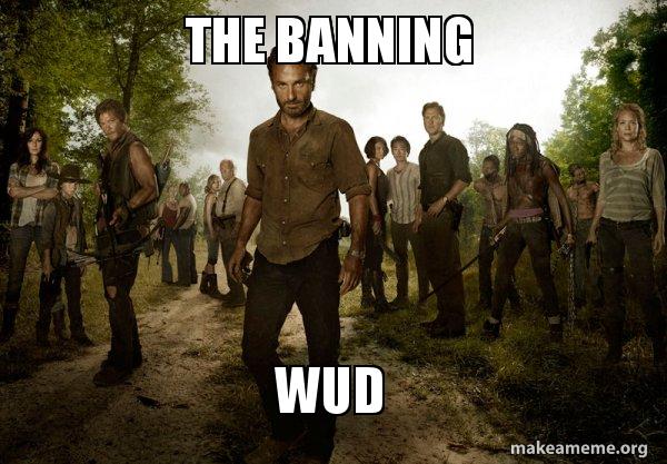 Walking Dead meme