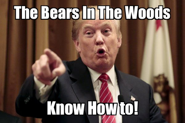 know - source: xhttps: memes... The Bears In The Woods Know How to! - Donald Trump Says Meme Generator