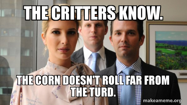 The Trump Kids Eric, Donald Jr and Ivanka meme