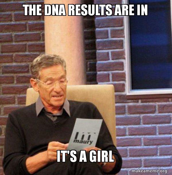 the dna results are in it s a girl maury povich dna make a meme