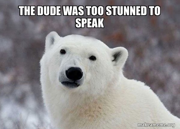 Popular Opinion Polar Bear meme