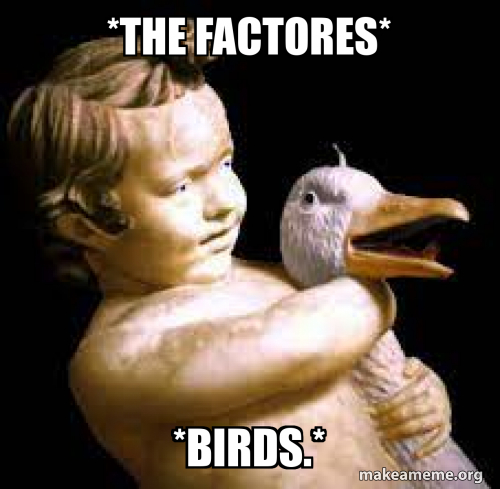 *the factores* *birds.* Meme Generator