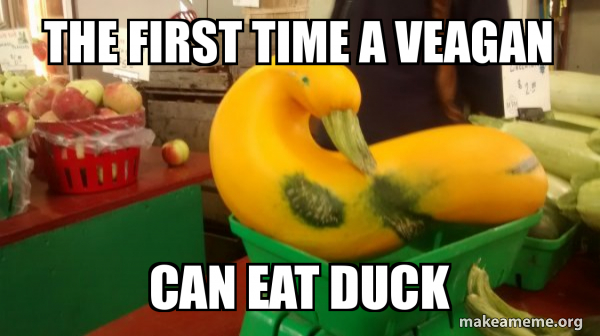 Gourd Advice Mallard meme