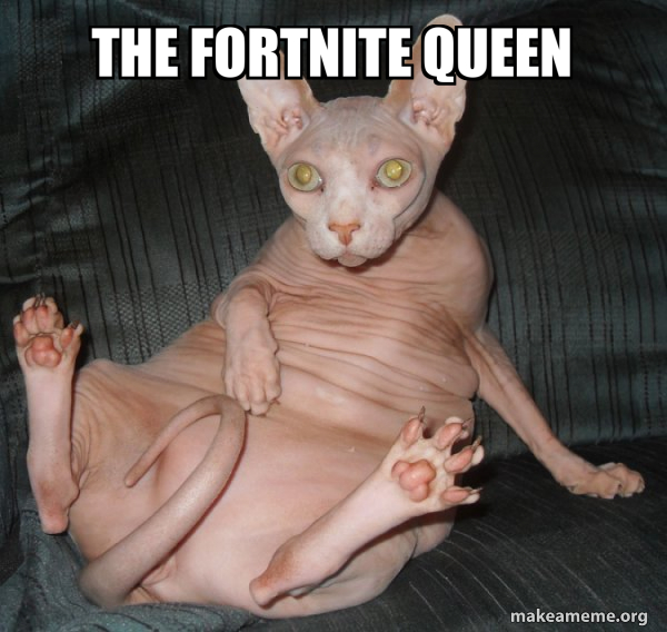 Hairless Cat meme