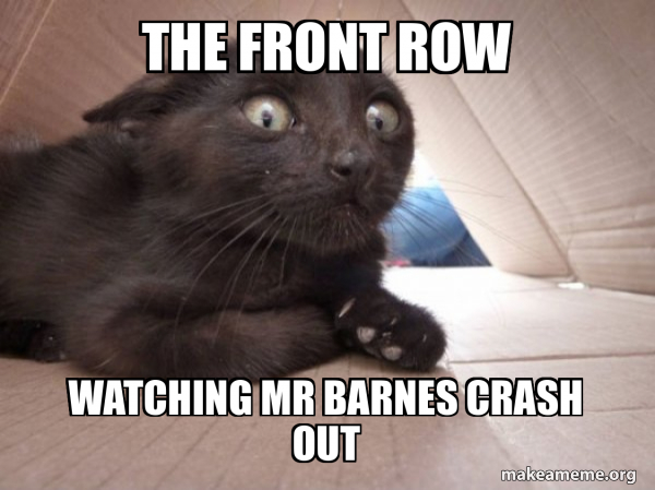 Schitzo Cat meme