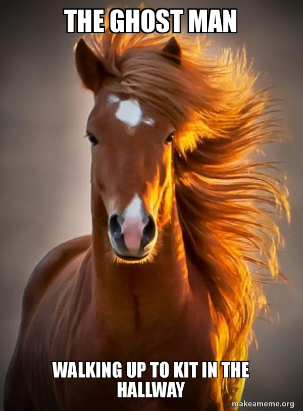 Ridiculously photogenic horse meme