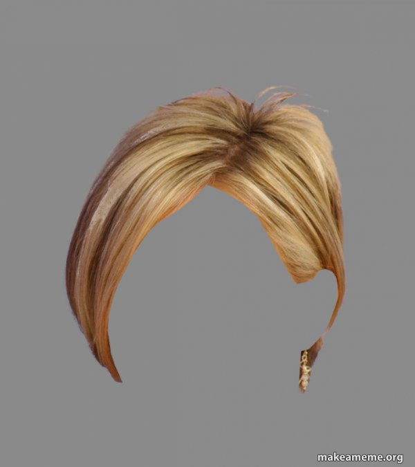 The Karen Hair meme