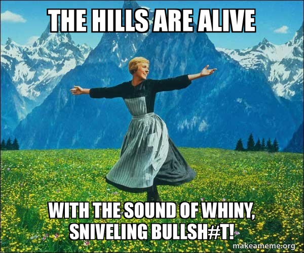 Sound of Music meme