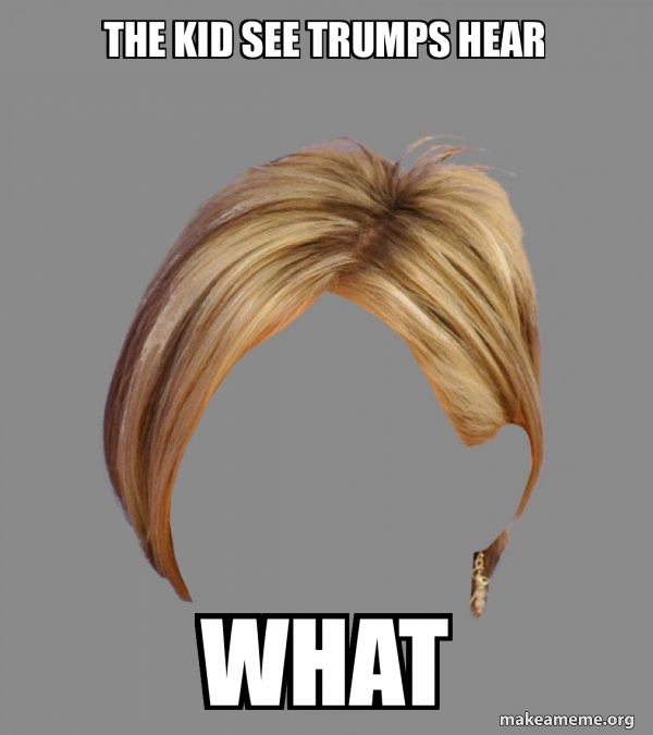 The Karen Hair meme