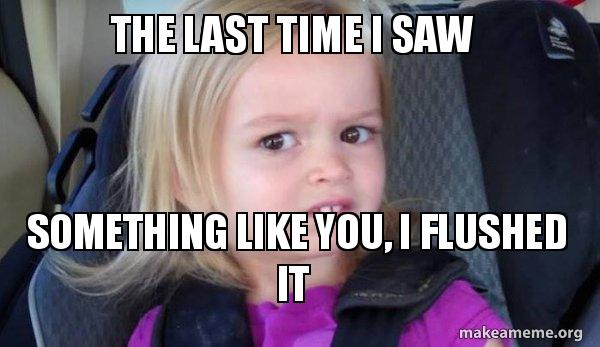 The Last Time I Saw Something Like You I Flushed It Side Eyes Chloe Make A Meme