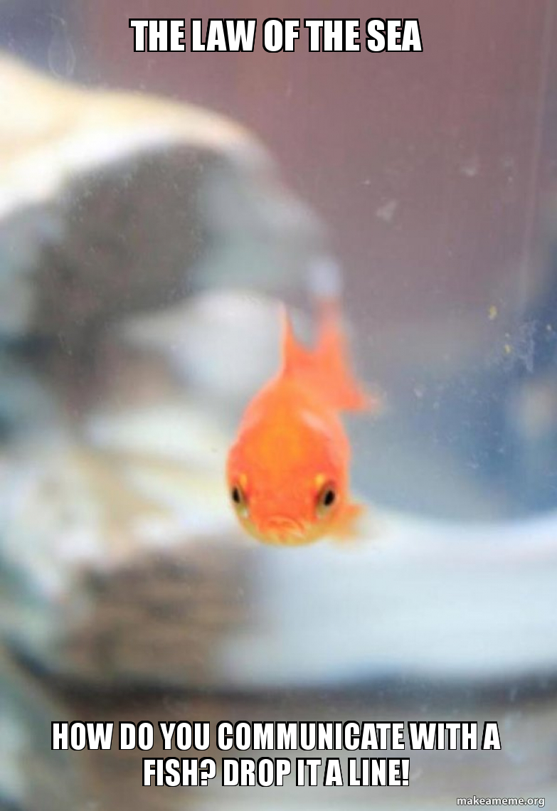 The Law Of The Sea How Do You Communicate With A Fish Drop It A Line Grumpy Fish Make A Meme