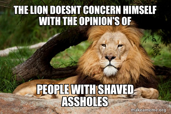 The Lion doesnt concern himself with the opinion's of people with
