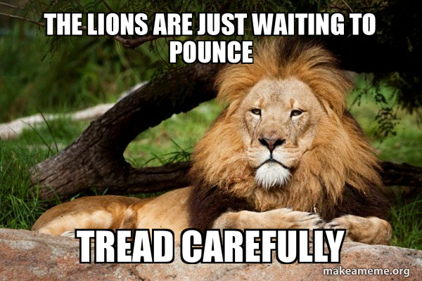 Contemplative Lion meme