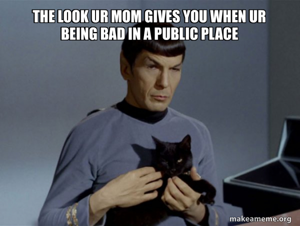 Spock and Cat Meme meme