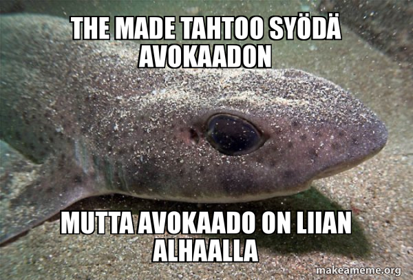 Dirty Joke Dogfish meme