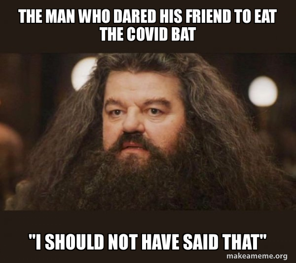 Hagrid - I should not have said that meme