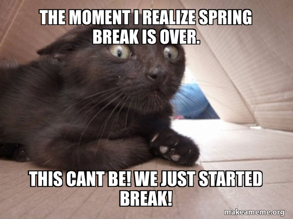 The moment I realize spring break is over. THIS CANT BE! WE JUST ...