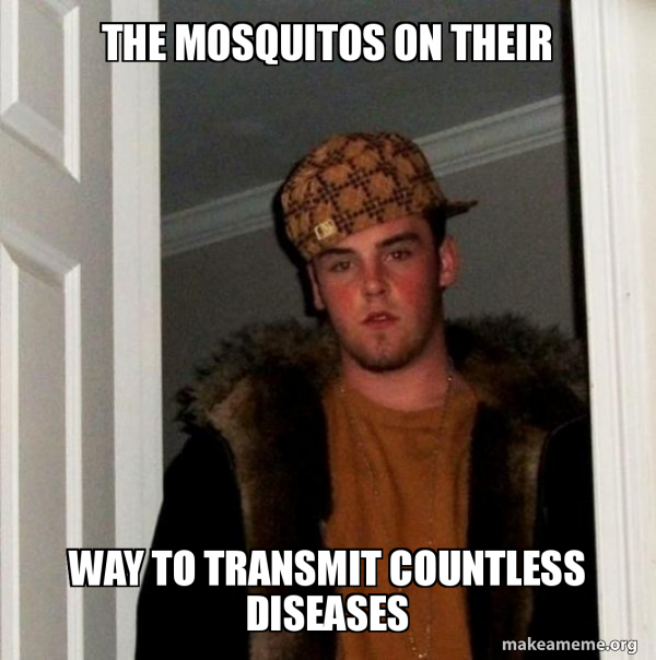 Scumbag Steve meme