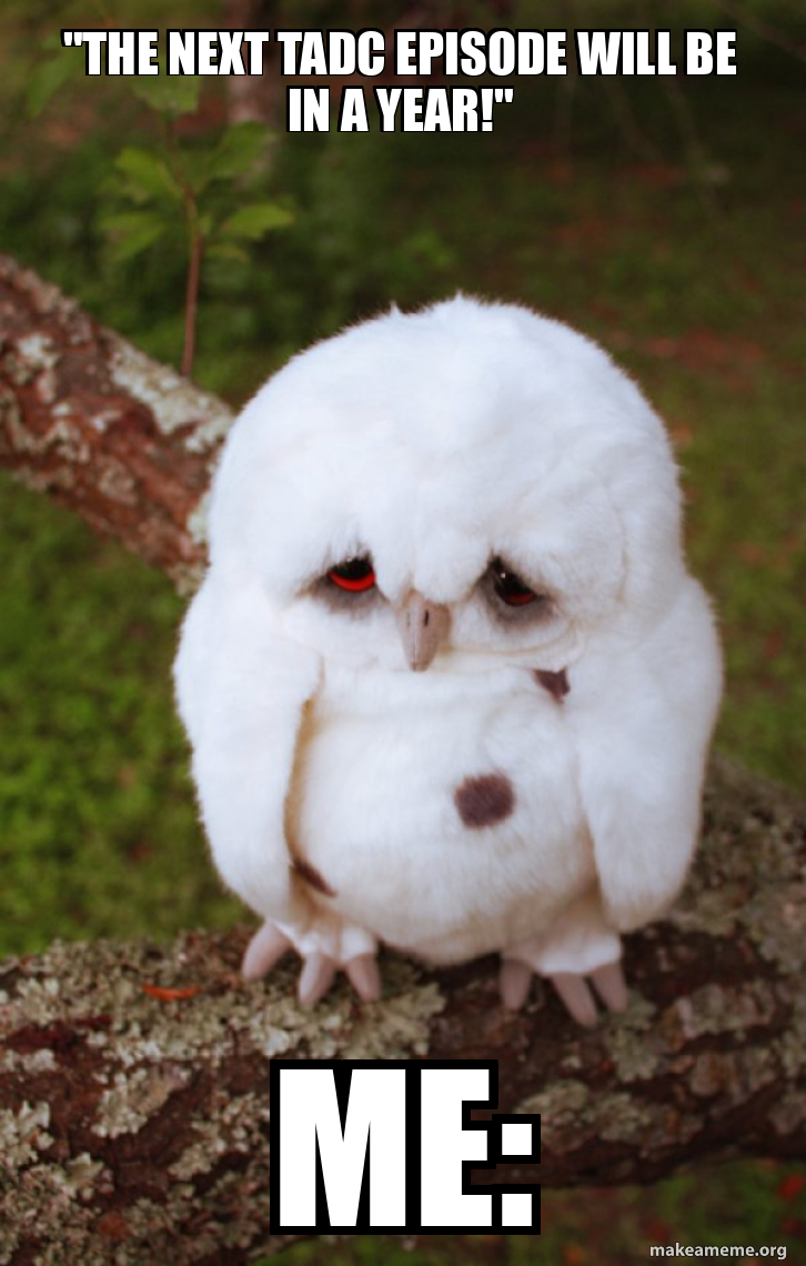 The next TADC episode will be in a year!