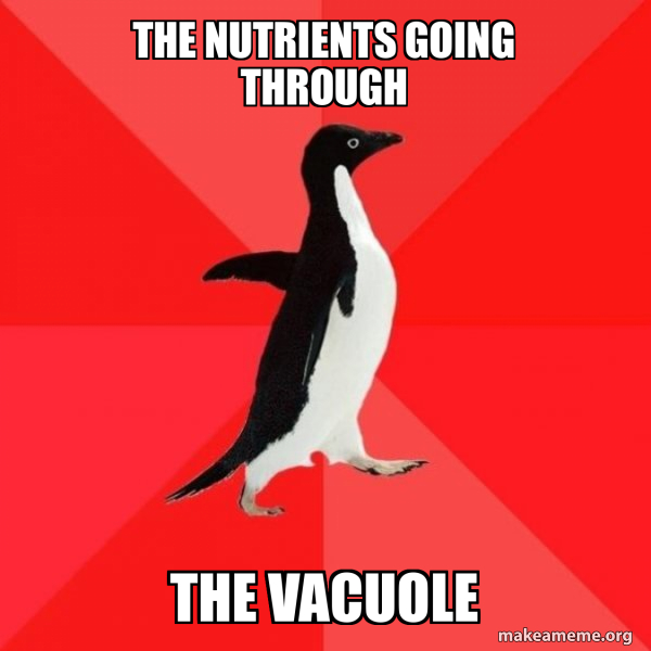 Socially Awesome Penguin meme