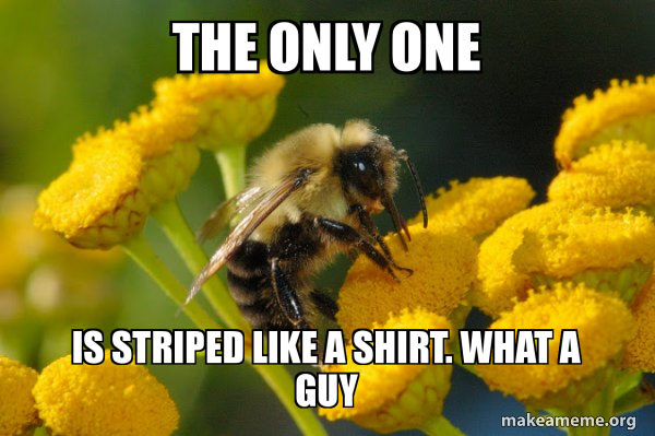 Good Guy Bee meme