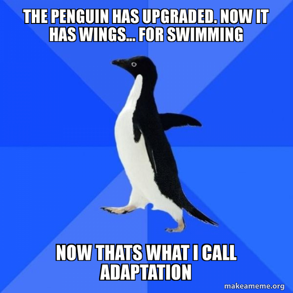 Socially Awkward Penguin meme