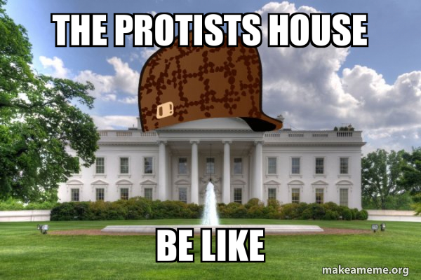 Scumbag Whitehouse meme