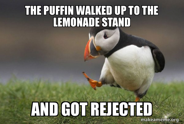 Unpopular Opinion Puffin meme