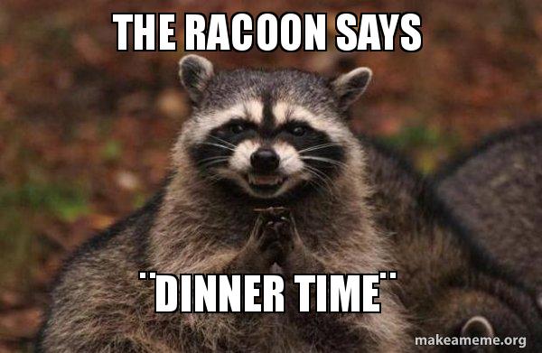 the-racoon-says.jpg