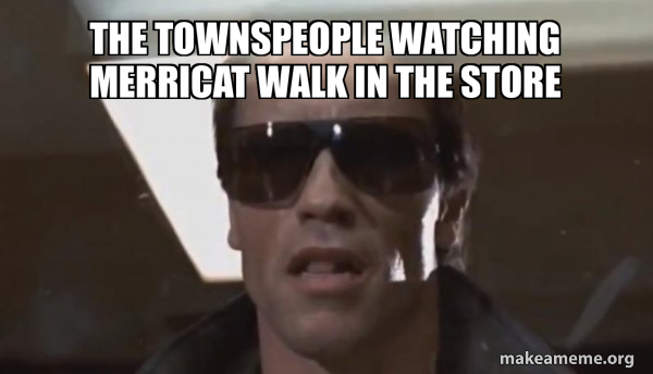 The Terminator meme