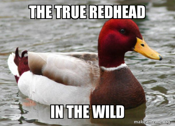 Malicious Advice Mallard meme