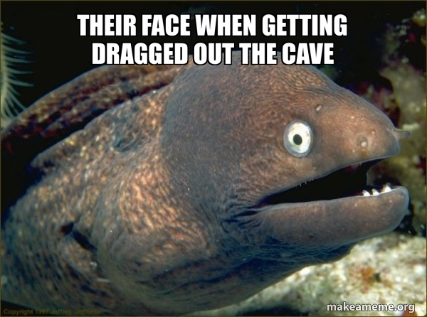 Bad Joke Eel meme