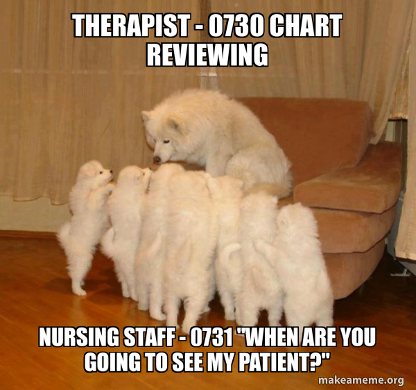 Storytelling Dog meme