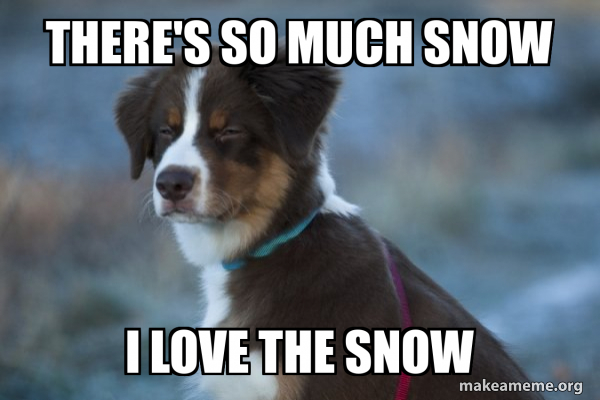 Unsure Dog meme