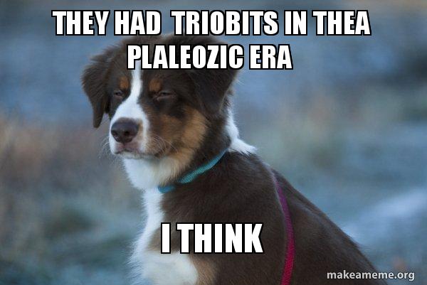 Unsure Dog meme