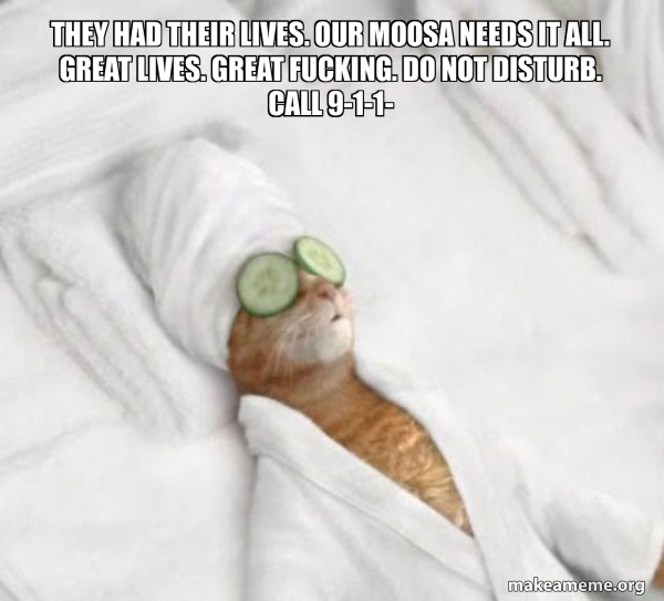 Pampered Cat Meme meme