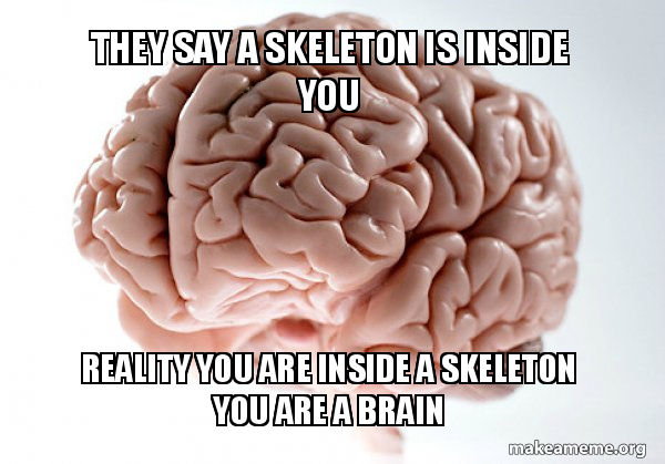 They Say A Skeleton Is Inside You Reality You Are Inside A Skeleton You Are A Brain Scumbag Brain Make A Meme