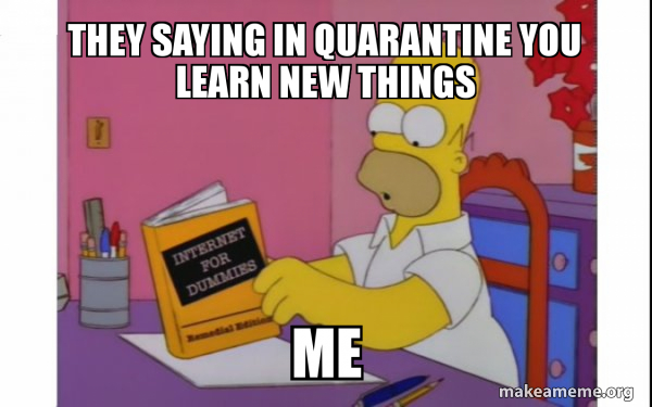 Computer Homer meme