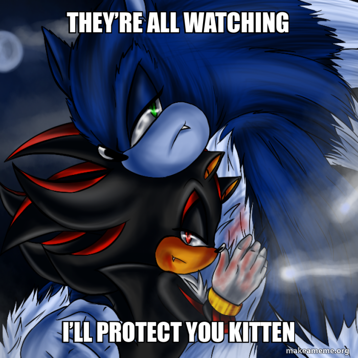 They’re all watching I’ll protect you Kitten Meme Generator