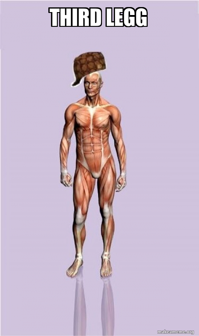 Scumbag Body meme