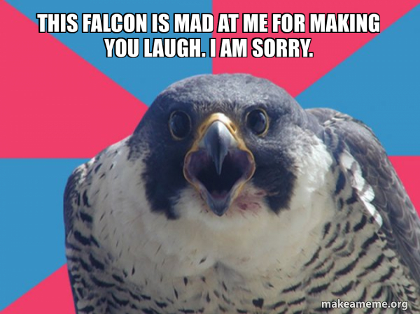 Millennial Falcon meme