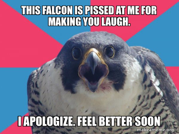 Millennial Falcon meme