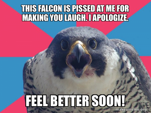 Millennial Falcon meme