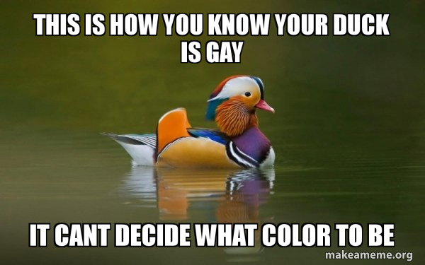 Color Deciding Meme this is how you know your duck is gay it cant decide what color to be ...