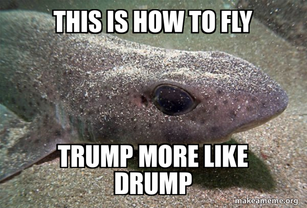 Dirty Joke Dogfish meme