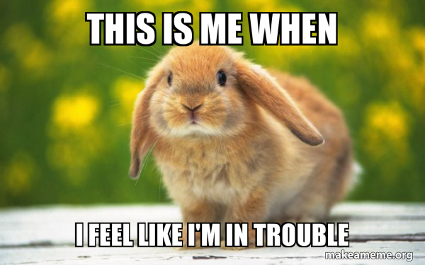 Regretful Rabbit meme