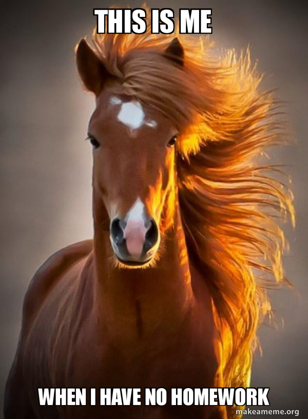 Ridiculously photogenic horse meme