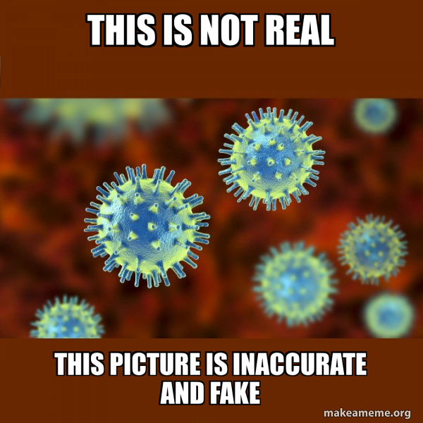 Coronavirus ( COVID-19 ) meme