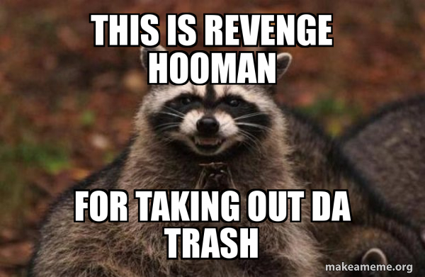 Evil Plot Racoon Evil Plotting Raccoon
