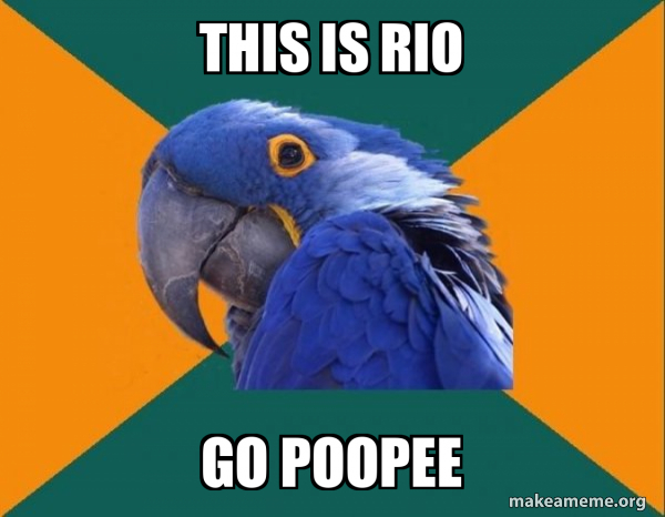 Paranoid Parrot meme